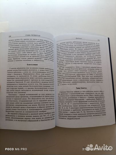 Основы общей эмбриологии