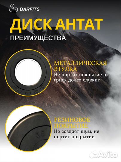 Диск Антат обрезиненный 51 мм 2,5 кг, черный