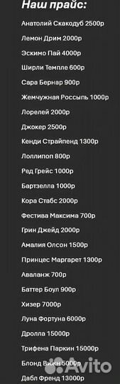 Пионы корни Ванилла Шнапс