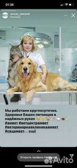 Ветеринарный врач круглосуточно