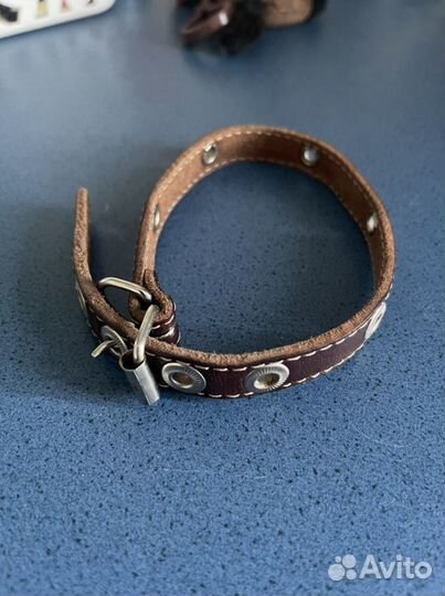 Ошейник и поводок с цепью для собак