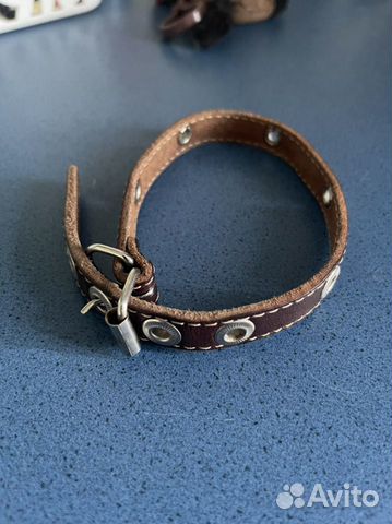 Ошейник и поводок с цепью для собак