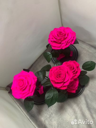 Роза в колбе оптом