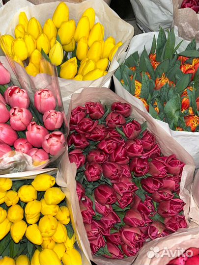 Живые цветы букеты