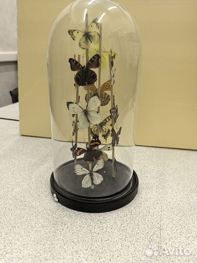 Композиция- бабочки2