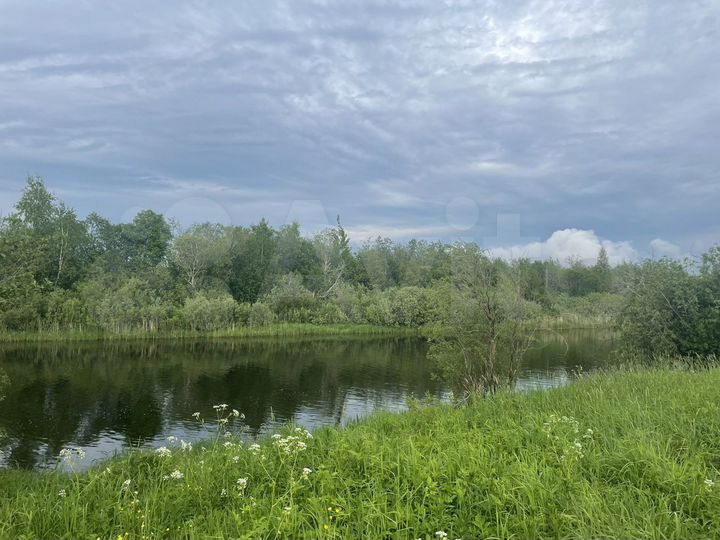 Участок 25 сот. (ИЖС)