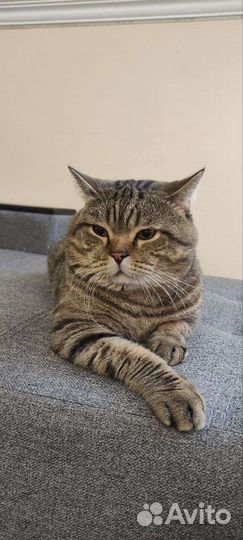 Котик для вязки