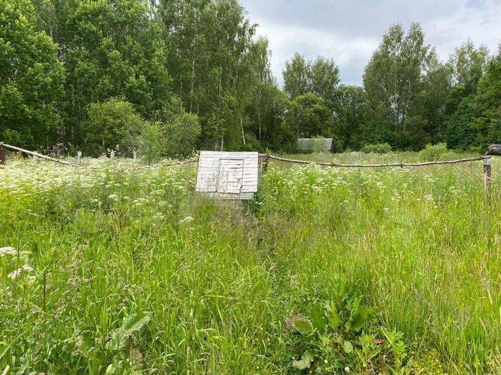 Дом 33,1 м² на участке 40 сот.