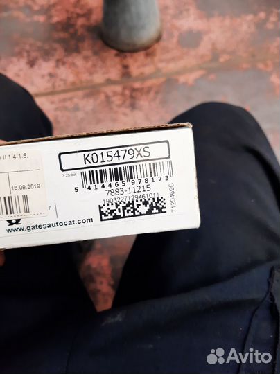 Грм акцент Рио сератто