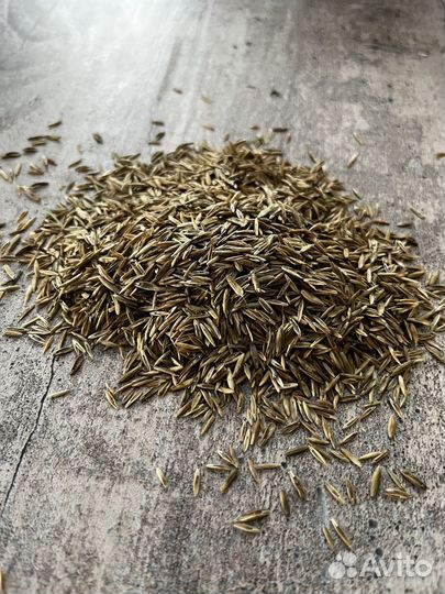 Семена газона, низкорослый (многолетний) 0,8кг