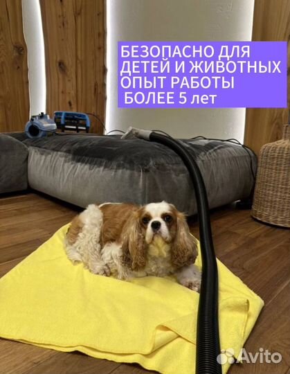 Химчистка мебели дивана матраса С гарантией