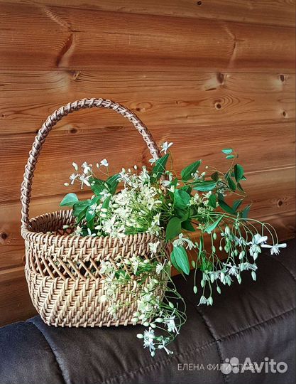 Корзина плетеная
