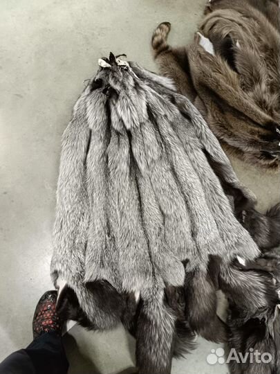 Чернобурая лиса