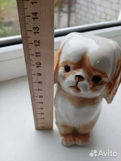 Пекинес СССР