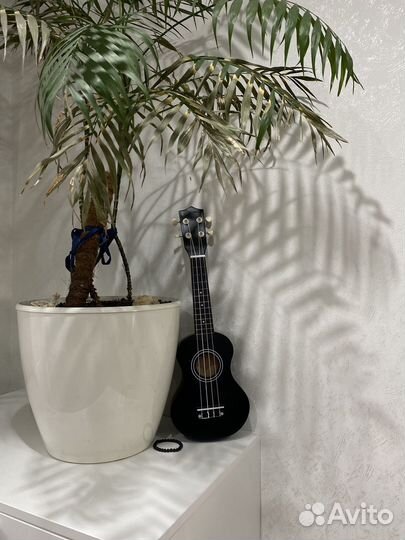 Укулеле черная