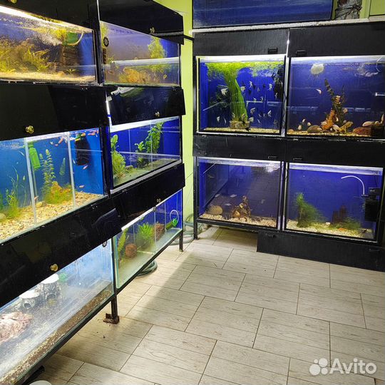 Зоотовары, аквариумистика, товары для рукоделия