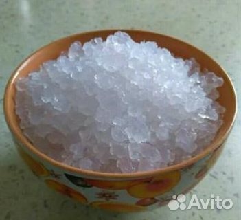 Индийский Морской Рис (Рисовый гриб)