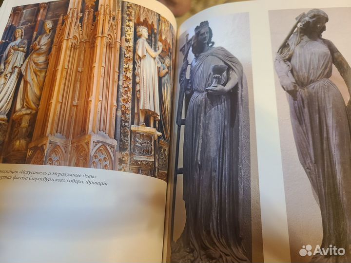 Паола Волкова 