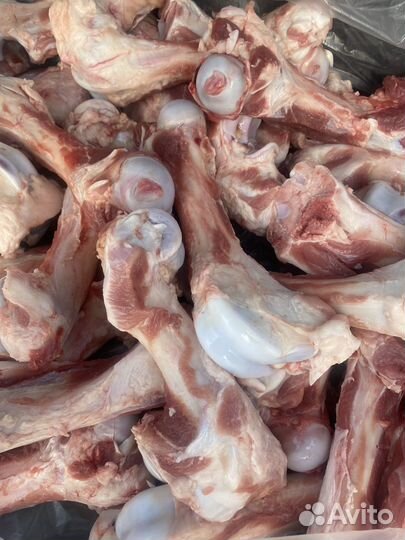 Кости для собак