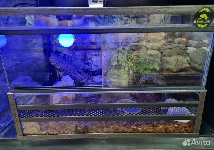 Террариумы