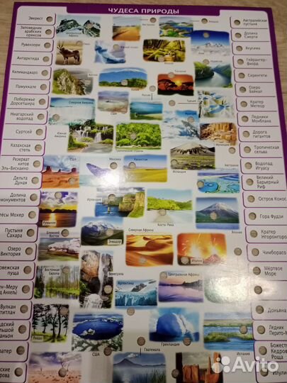 Энциклопедия conector