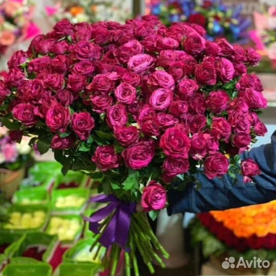 Кустовые розы на дом