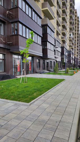 Квартира-студия, 26,5 м², 12/16 эт.