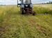 Покос травы трактором мтз 80