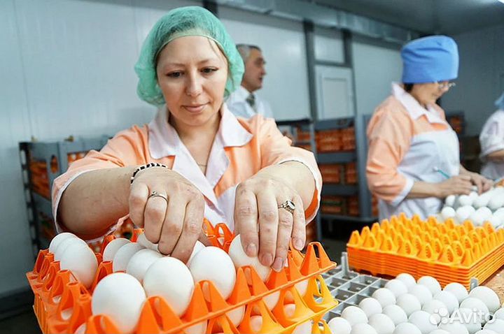 Упаковщик / упаковщица - вахта с проживанием