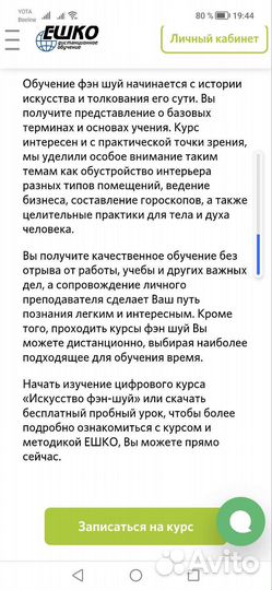 Фэн-шуй. Профессионал