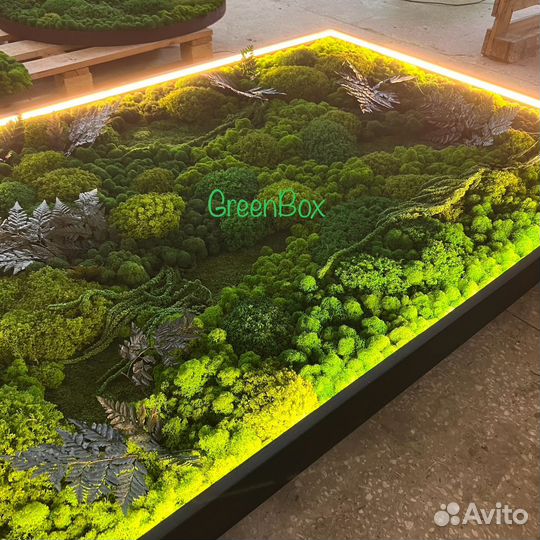 Панно из мха с подсветкой