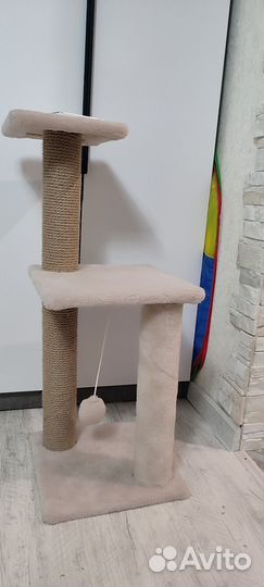 Когтеточка