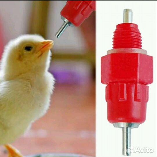 Поилки ниппельные для кур, цыплят,переделок