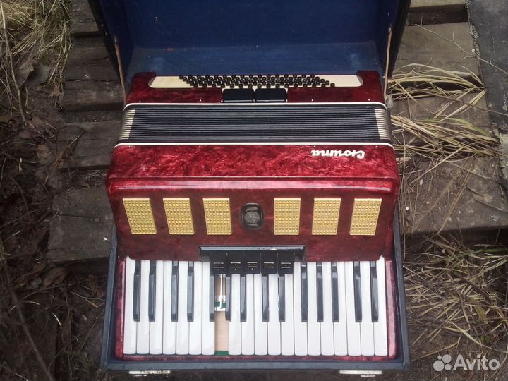 Аккордеон сюита