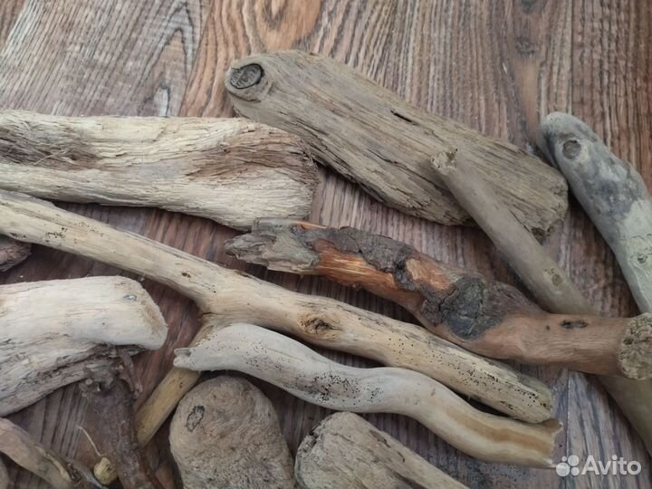 Коряга дрифтвуд