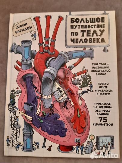 Энциклопедия для детей, Тело человека, изд.2019г