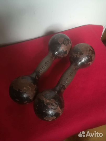 Гантели пара по 5 кг С С С Р