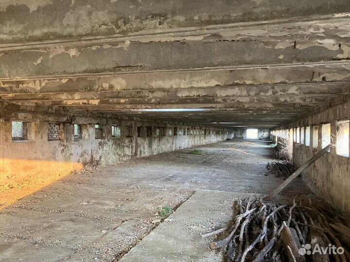 Животноводческая ферма продаю