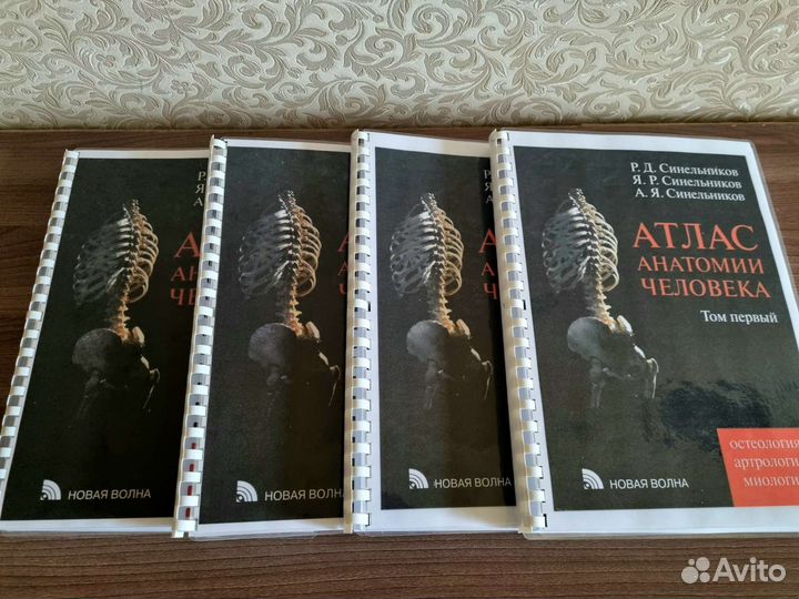 Атлас Анатомии Человека