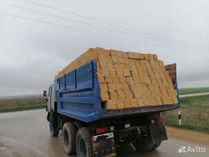 Камень ракушка