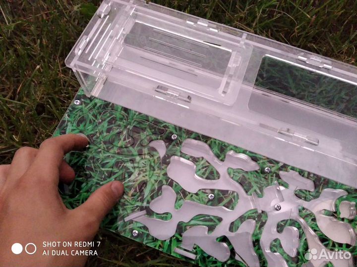 Муравьиная ферма