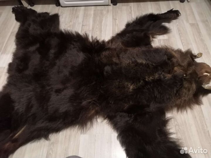 Шкурка медведя