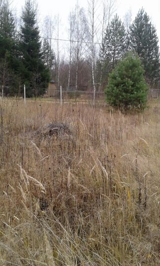 Участок 15 сот. (СНТ, ДНП)