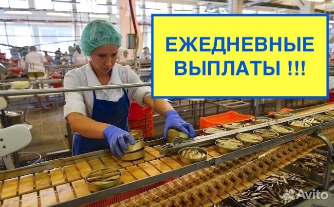 Укладчица(ик) шпрот. Ежедневные выплаты. Без опыта
