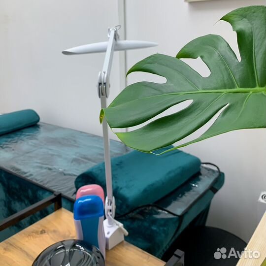 Мастер депиляции