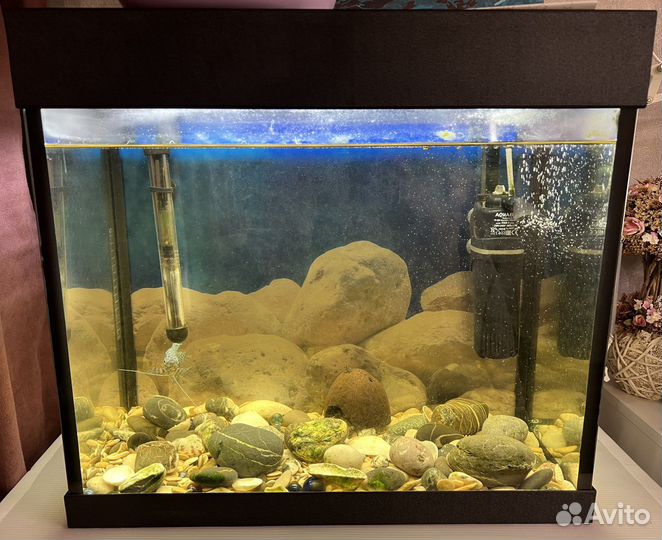 Аквариум на 50 литров