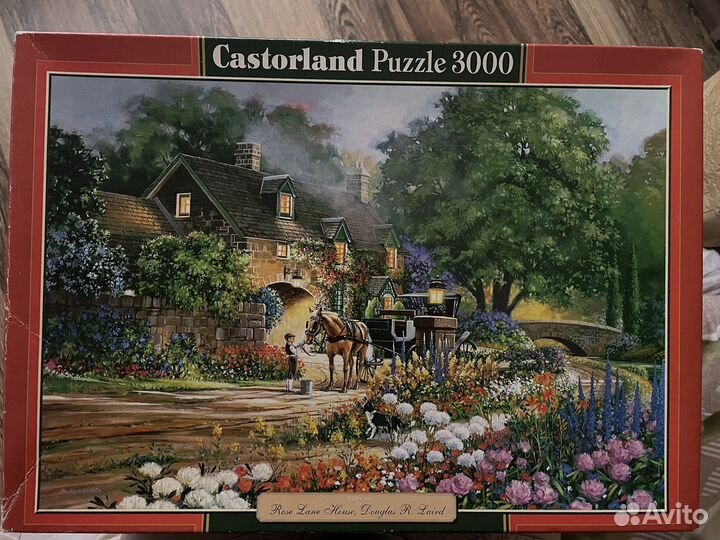 Пазлы 3000 деталей