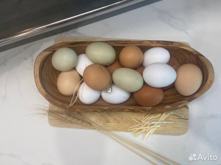Куриное деревенское яйцо ECO от счастливой курочки