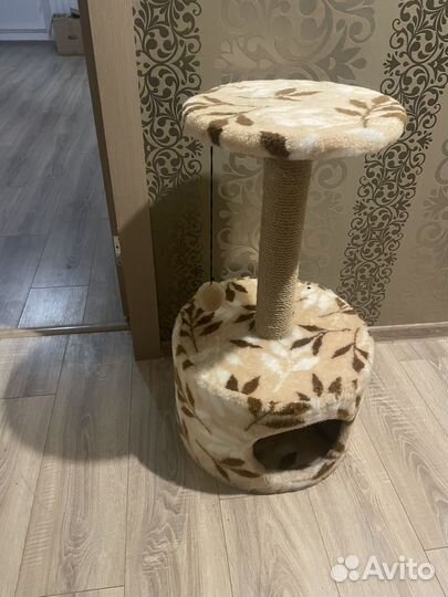 Когтеточка