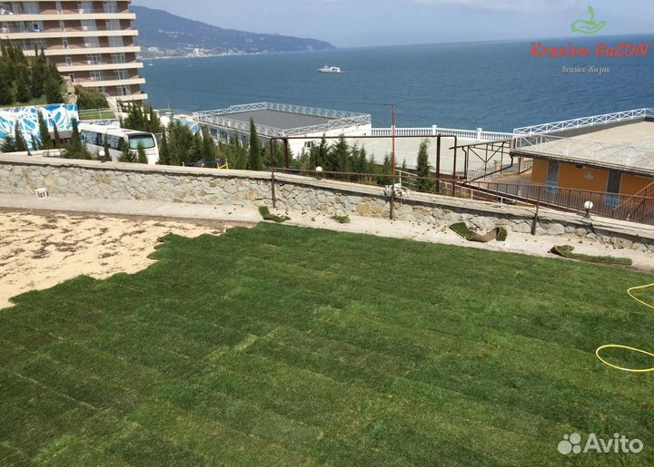 Рулонный газон Новороссийск